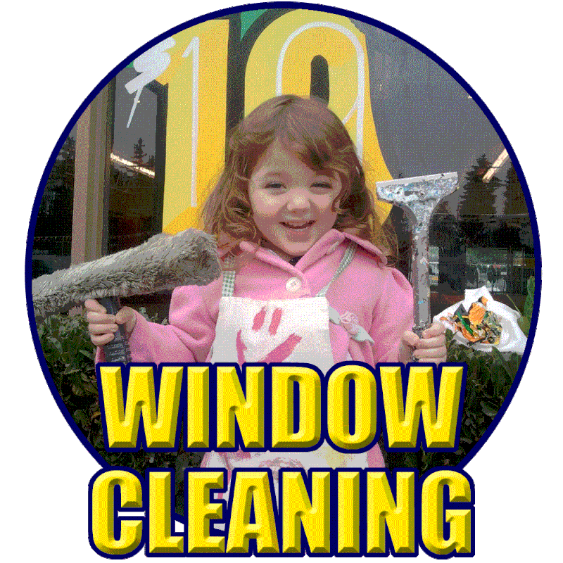 Window Splash Window Cleaning Services by Definitive Arts.